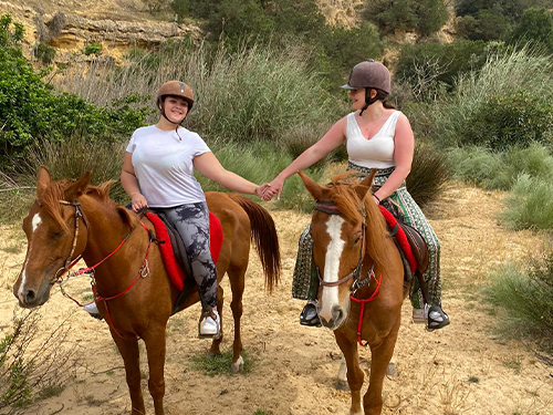 Equitation-a-cheval-en-Hammamet
