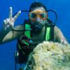 Plongée sous marine Hammamet Plongée sous marine Hammamet