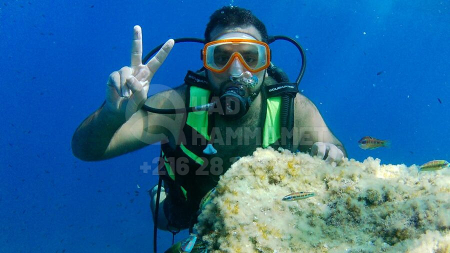 Plongée sous marine Hammamet Plongée sous marine Hammamet