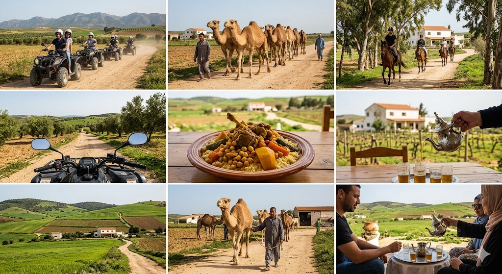 pack ferme quad chameau cheval repas Hammamet