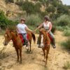 Cheval Hammamet Cheval à Hammamet