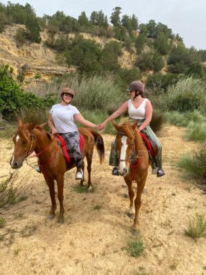 Cheval à Hammamet