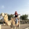 Randonnee-a-dos-de-chameau-dans-la-campagne-de-Hammamet