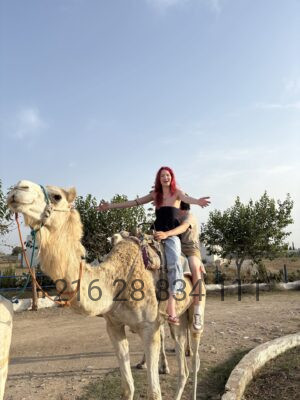 Randonnee-a-dos-de-chameau-dans-la-campagne-de-Hammamet