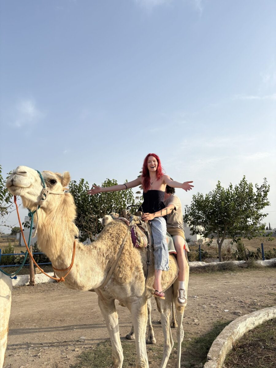 Randonnee-a-dos-de-chameau-dans-la-campagne-de-Hammamet