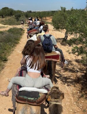 Caravane Hammamet