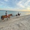 Cheval Plage de Hammamet