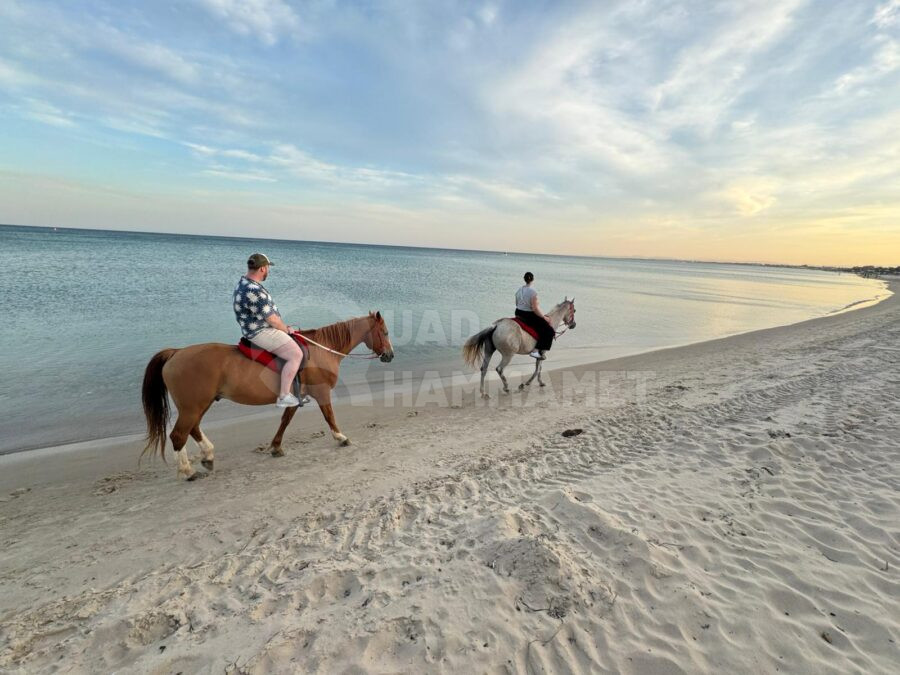 Cheval Plage de Hammamet