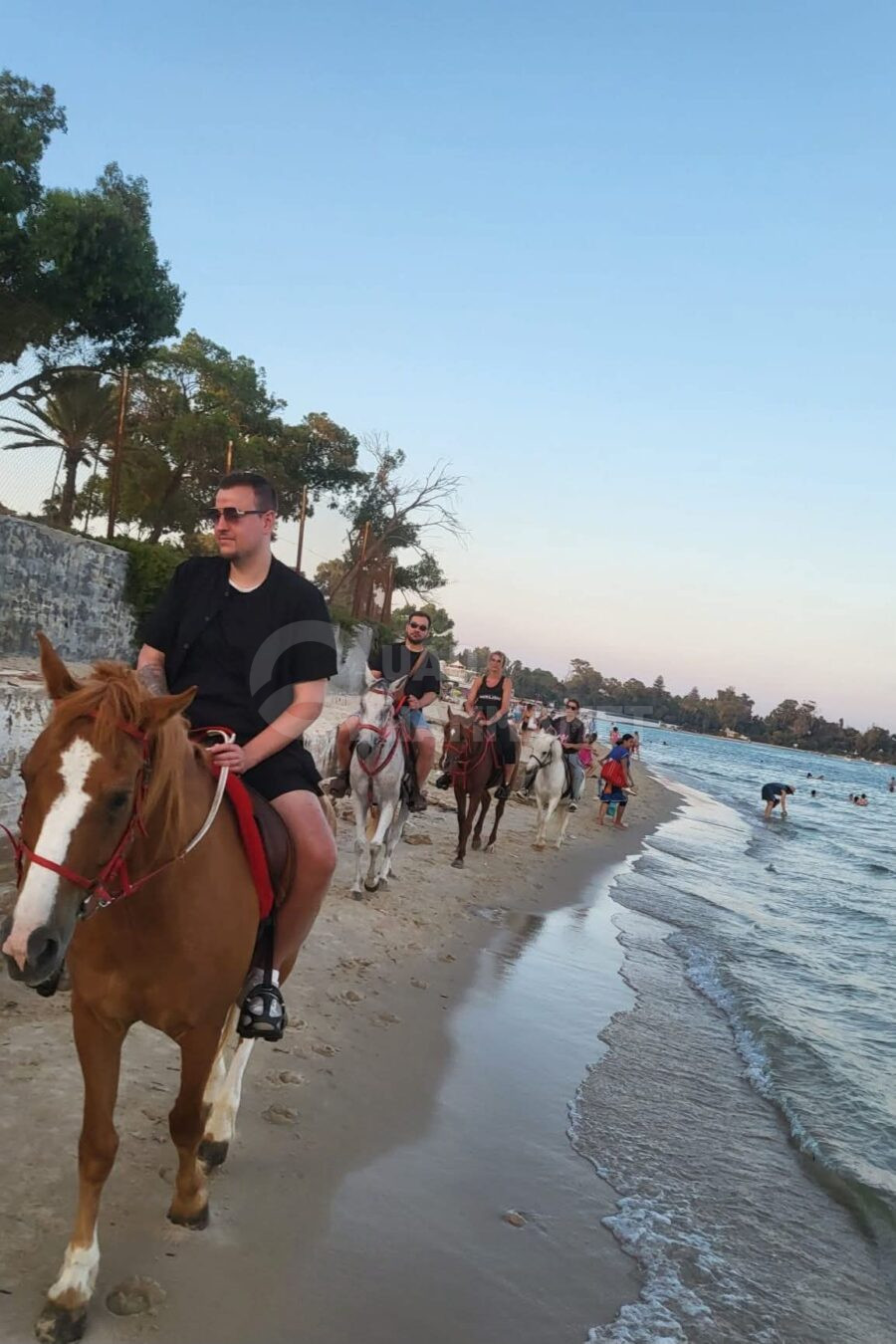 Promenade à Cheval - La Plage